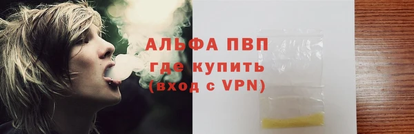 стафф Новодвинск