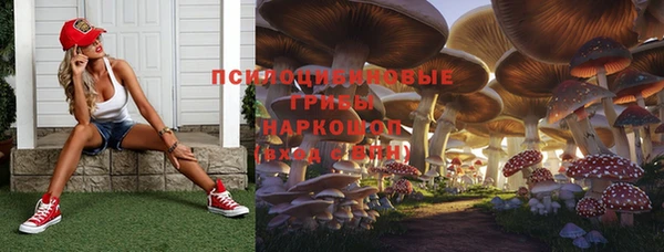 прущая мука Абаза